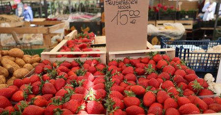 Przymrozki masakrują plantacje. Ile zapłacimy za owoce?