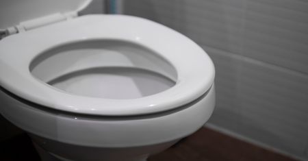 Spuszczasz deskę w toalecie? Naukowcy nie mają dobrych wieści