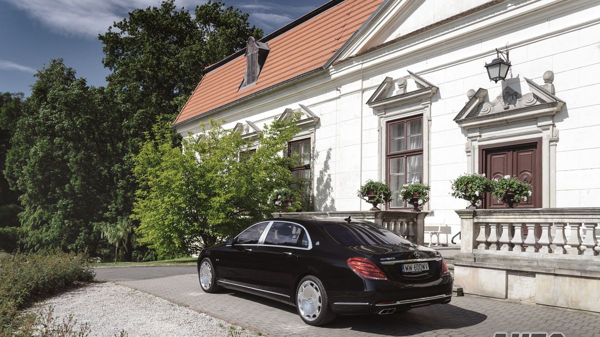 Zdjęcie ilustracyjne do artykułu