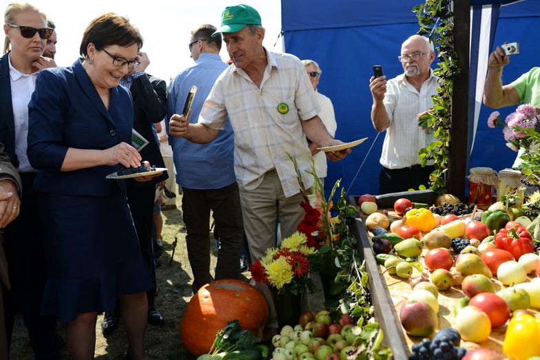 Premier Ewa Kopacz zabiega o poparcie działkowców. "Macie we mnie prawdziwego przyjaciela"