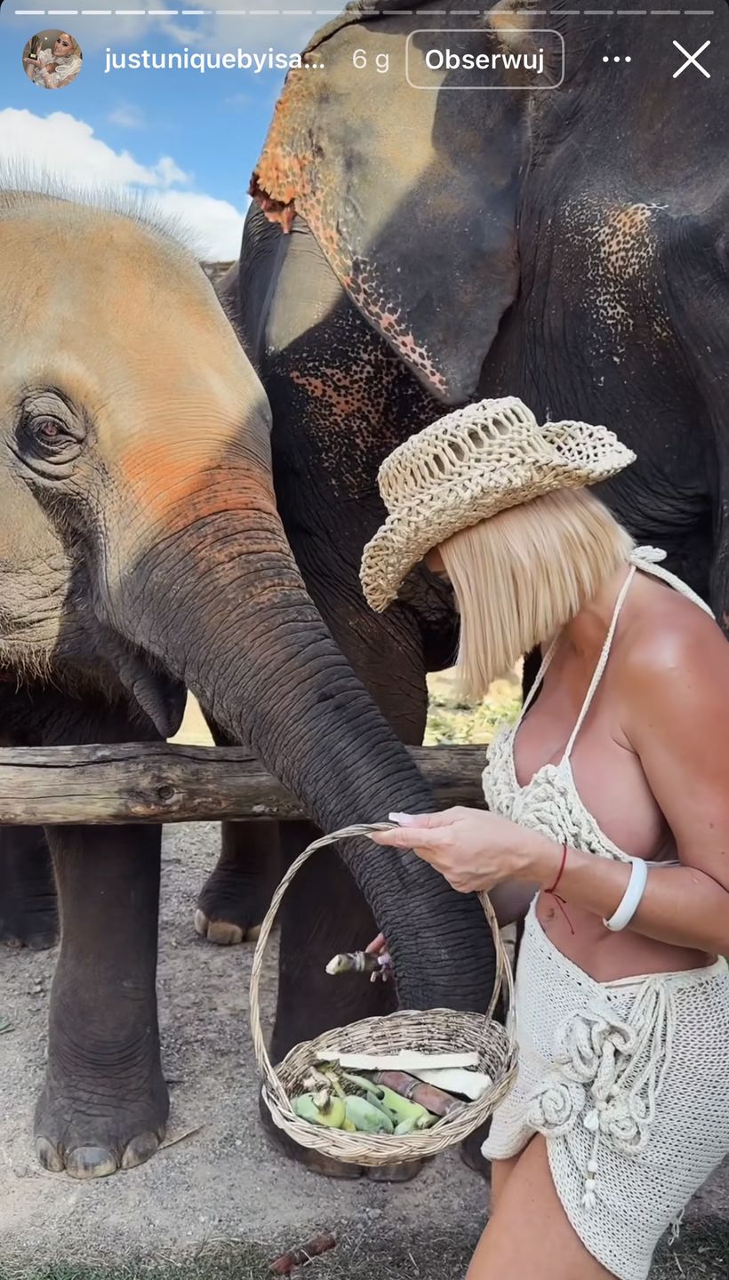 Izabela Macudzińska dokarmia słonie 