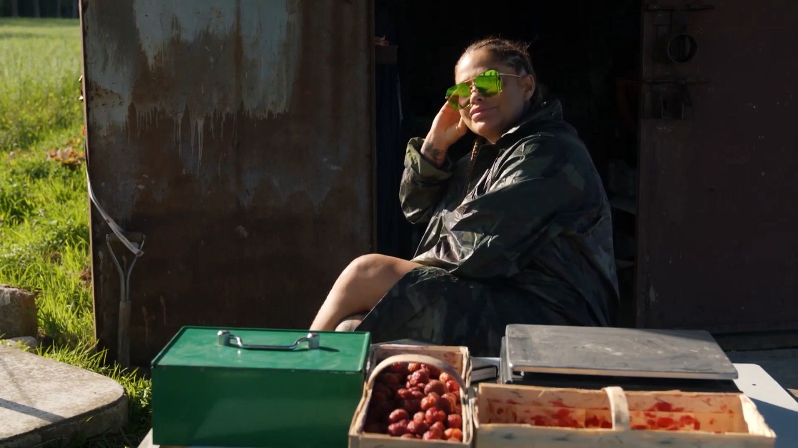 Laluna Unique na plantacji truskawek