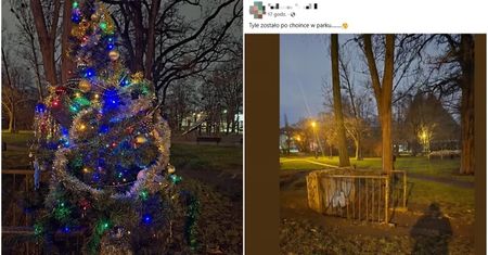 Szczyt chamstwa. Złodzieje ukradli osiedlową choinkę ubraną przez dzieci