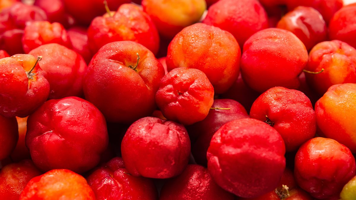 Acerola