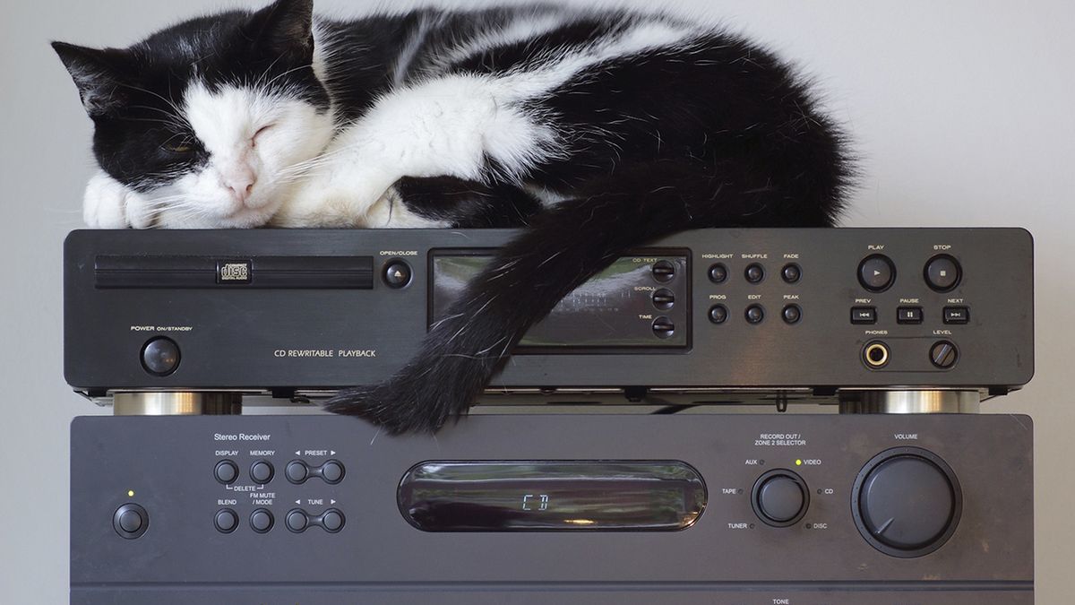 Kot włączył wieżę stereo łapą i rozkręcił pokrętło głośności do maksimum