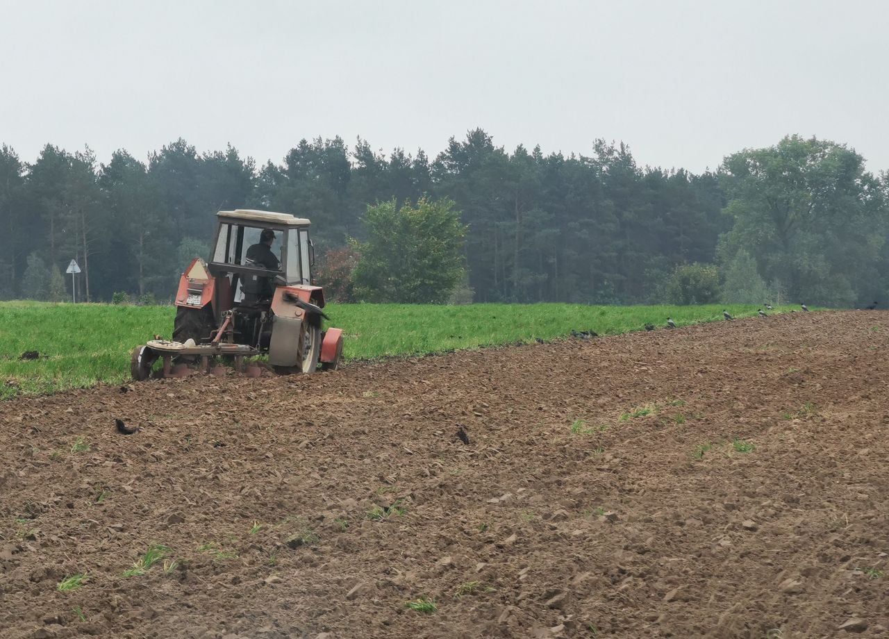 Kontrole u rolników. Ruszą lada chwila. Można stracić dopłaty