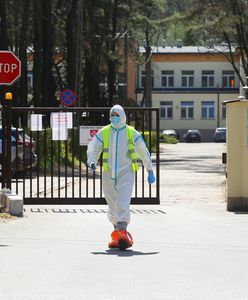 Koronawirus. Program specjalny WP