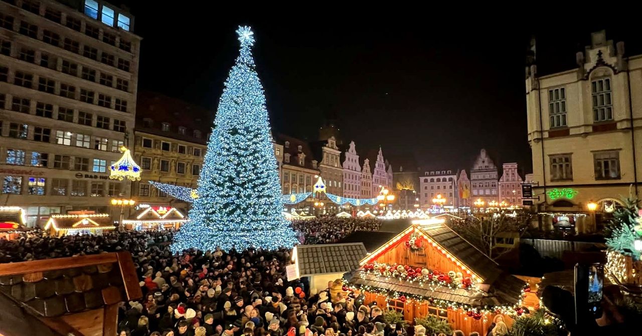Wrocław: Świąteczne szaleństwo w Rynku. Tysiące lampek rozbłysło na choince. "Bardzo elegancka"