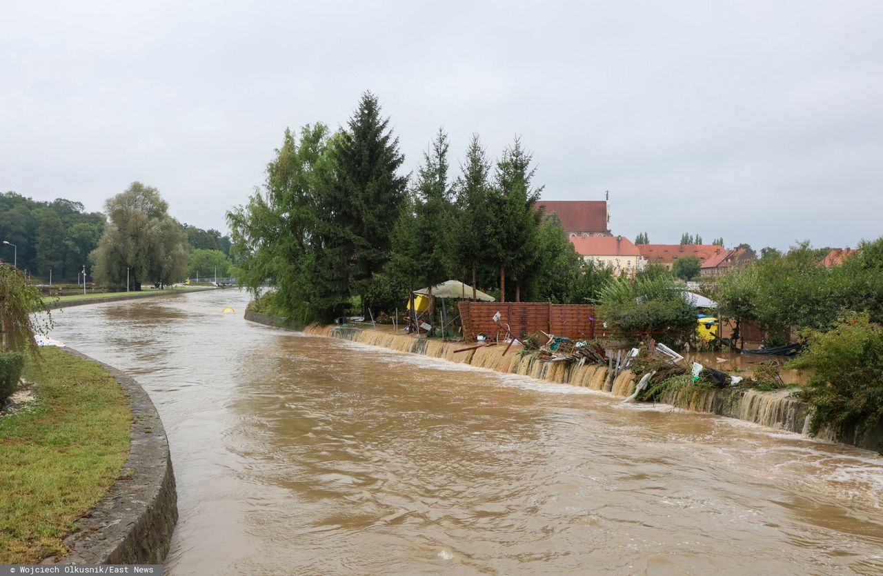 Powódź 2024. Z wody wyciągnięto konia