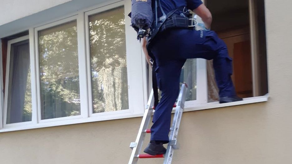 policja