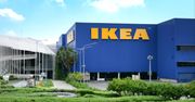 Gigant od mebli szykuje zwolnienia. Pracę straci nawet 800 osób