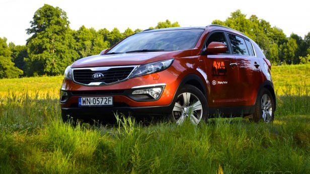 Zdjęcie ilustracyjne do artykułu