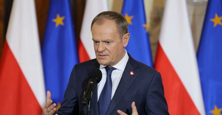 Zmiany w Lasach Państwowych. Tusk ogłasza