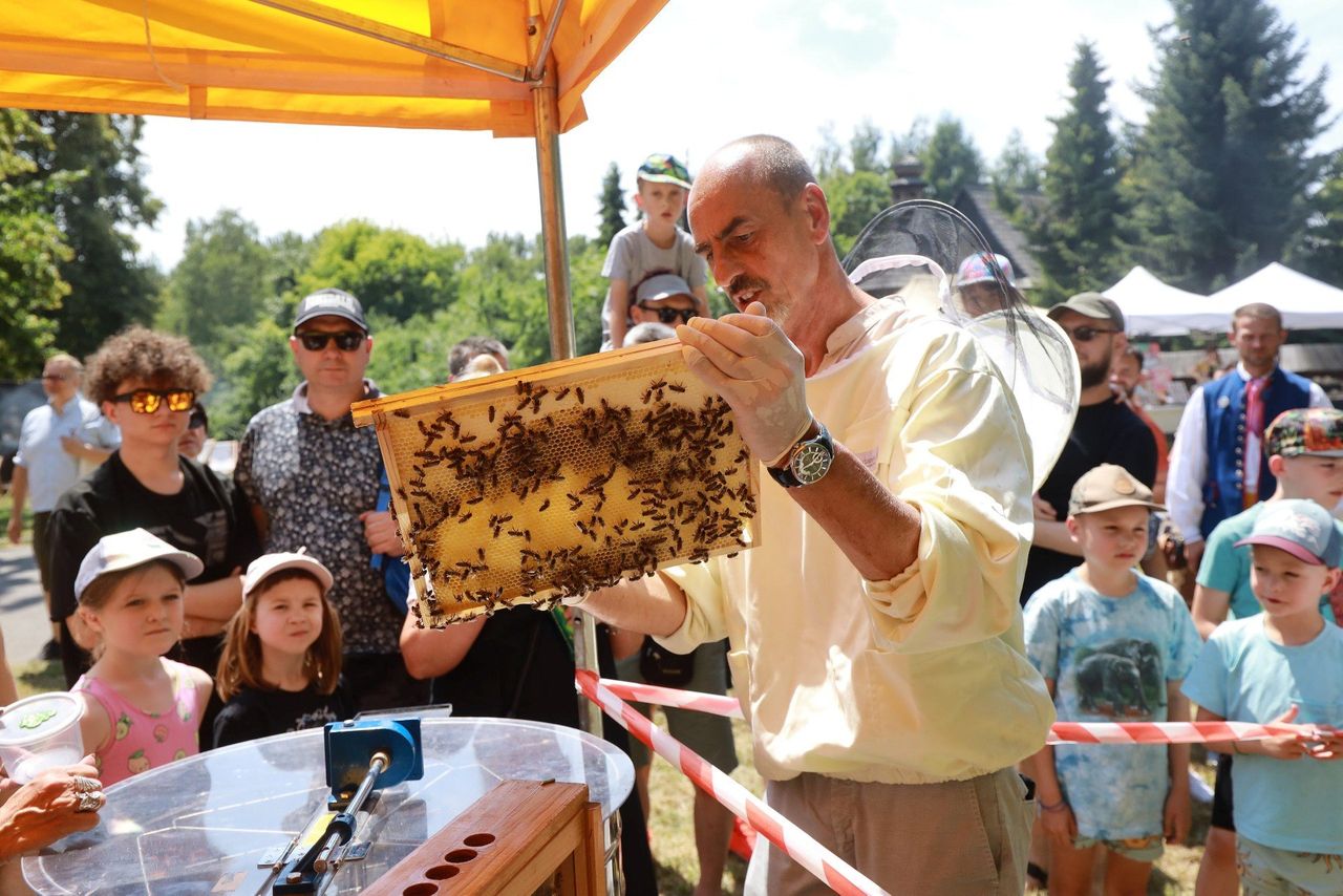 Dzień Miodu w skansenie w Chorzowie. "To jeden z największych darów natury". Zobaczcie zdjęcia