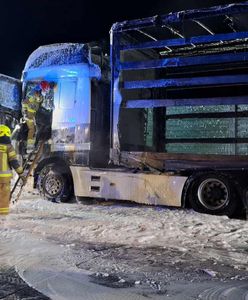 Pożar ciężarówki na trasie S17 w Trojanowie