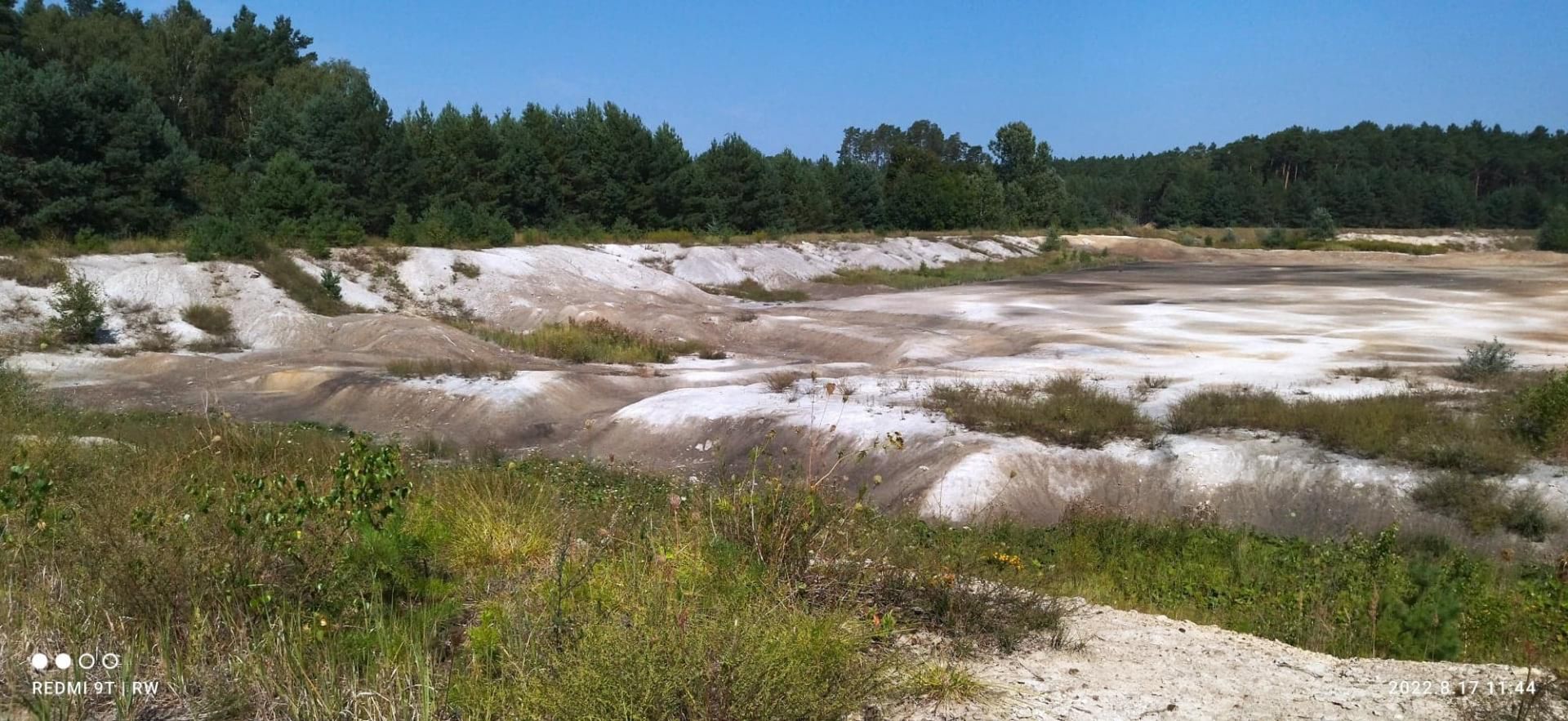 W latach 70. i 80. XX w. Zachem emitował do atmosfery 70 różnych substancji, 1300 ton gazów rocznie. Wokół instalacji fenolu zamarła sosna. Z kolei w oddziale syntezy ulatniały się z instalacji chlor i fenol, które uśmiercały ptaki przebywające w tym rejonie