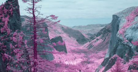Park narodowy Yosemite wygląda w podczerwieni jak cukierkowa kraina bajek