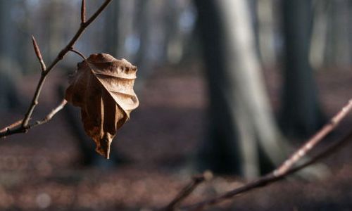 Jesienna aura - czym można się zająć?