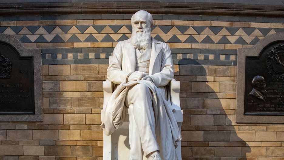 Pomnik Karola Darwina w Londynie.