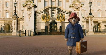 "Paddington": Jak się macie - Misia znacie? [RECENZJA]