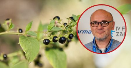 Tak rozpoznasz trujące owoce. To ma kluczowe znaczenie