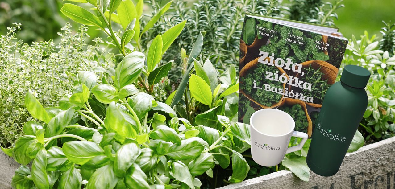 KONKURS: świeże zioła w polskiej kuchni - odkryj sekrety smaku i aromatu przez cały rok
