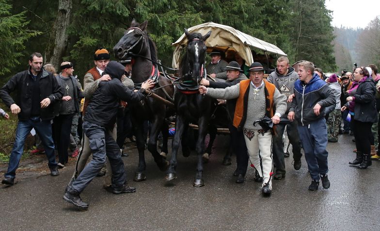 Poznańska firma skonstruuje hybrydowy wóz konny dla Tatrzańskiego PN