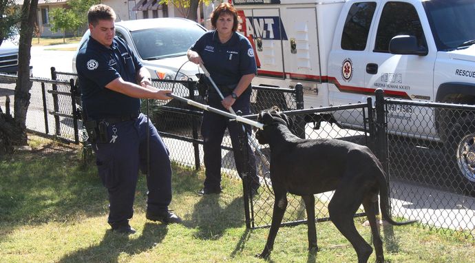 Policja dla zwierząt w Phoenix