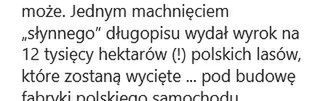 Kinga Rusin o wycince lasu