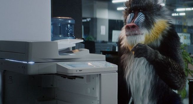 Platige Image promuje ofertę biura podróży Tajawal z Dubaju