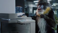 Platige Image promuje ofertę biura podróży Tajawal z Dubaju