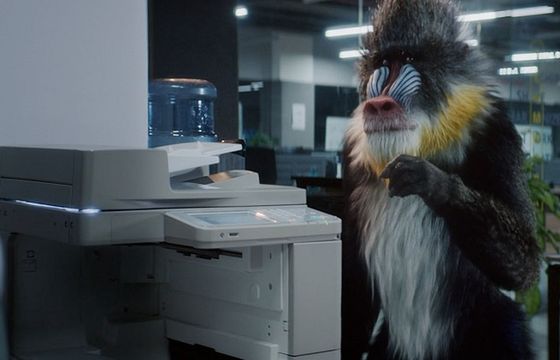 Platige Image promuje ofertę biura podróży Tajawal z Dubaju