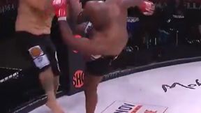 Koniec słynnej organizacji MMA!