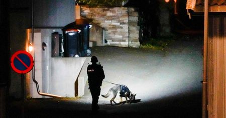 Masakra w Norwegii. Pierwsze hipotezy śledczych ws. "łucznika" z Kongsberg