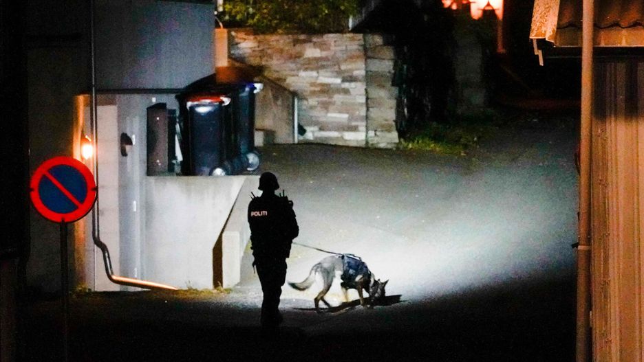 Atak w norweskim mie?cie KongsbergA Police officer uses a sniffer dog at the scene where they are investigating in Kongsberg, Norway after a man armed with bow killed several people before he was arrested by police on October 13, 2021. - A man armed with a bow and arrows killed several people and wounded others in the southeastern town of Kongsberg in Norway on October 13, 2021, police said, adding they had arrested the suspect. "We can unfortunately confirm that there are several injured and also unfortunately several killed in this episode," local police official Oyvind Aas told a news conference. "The man who committed this act has been arrested by the police and, according to our information, there is only one person involved." (Photo by H?kon Mosvold Larsen / NTB / AFP) / Norway OUT / ALTERNATIVE CROPHAKON MOSVOLD LARSEN