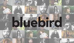 Ruszył impresariat bluebird artists