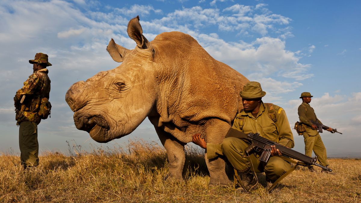 10 zdjęć, które symbolizuja ostatnią dekadę według Getty Images i Canona 1