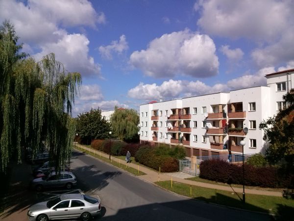 Obraz
