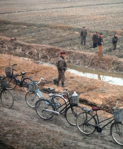 Korea Południowa ostrzega przed widmem nowego głodu w Korei Północnej. Również ornitolodzy mają swoje podejrzenia