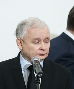 Nepotyzm w PiS. Jacek Żakowski: Polska na szalonym słoniu