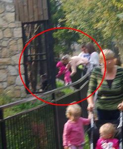 Gdy do zoo przychodzi ktoś, kto nie umie się zachować...