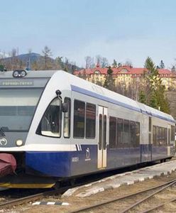 Słowacja. Patrole prawicowców w pociągach