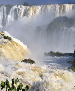 Gdy odezwali się po polsku, musieli klęczeć na kamieniach