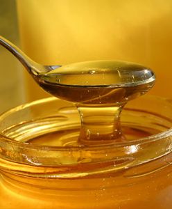 Profesor Maria Borawska: produkty pszczele pomagają w leczeniu glejaków mózgu