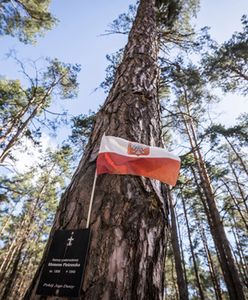 Tajemnice czaszek z katyńskich mogił