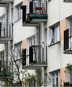 Sąsiad potrzebny od zaraz! W Krakowie ruszył konkurs