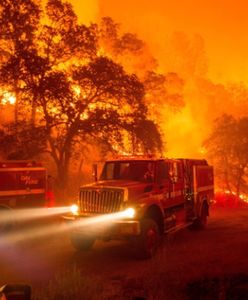 Ogromne pożary w Kalifornii. Ewakuowano ponad 13 tys. osób