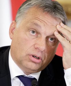 Igor Janke: Wiktor Orban zawsze miał poprawne relacje z Donaldem Tuskiem