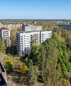 Policja zatrzymała cztery osoby, które chciały spędzić Sylwestra w strefie wykluczenia obok elektrowni w Czarnobylu