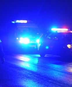 Nocny wypadek w Turowie pod Pniewami - zginął kierowca